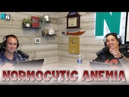 Normocytic Anemia | Podcast