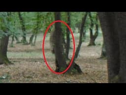 Hoia-Baciu | The World's Most Haunted Forest Documentary