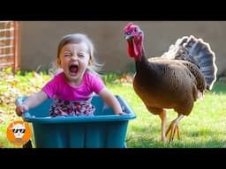 TROUBLE Animals Chasing Babies Compilation - Funny Baby Videos | Just Funniest