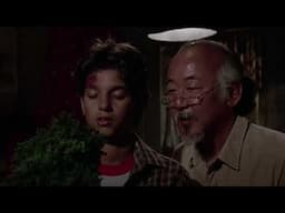 Unintentional ASMR - Mr Miyagi's Wisdom