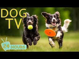 DOG TV: Video Keep Your Dogs Entertain for Hours While You’re Away - Best Anti-Anxiety Music for Dog