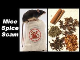 Debunking The Mice Spice Scam. Don't Fall For This. Mousetrap Monday.