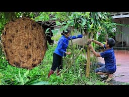 Bữa cơm ngày lũ lụt, bắt tổ ong khủng trên ngọn cây sau cơn bão Yagi I Ẩm Thực Mẹ Làm