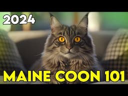 MAINE COON 101: Learn EVERYTHING In ONLY 10 Minutes