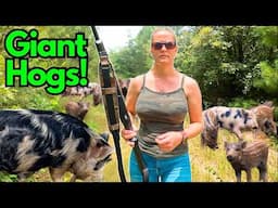 WILD HOG HUNTING Like a Pro! Her Biggest Wild Pig Group Ever!