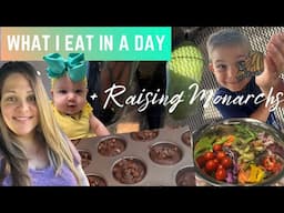 What I Eat in a Day Whole Food Plant Based | Raising Monarchs