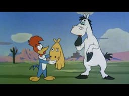 What Kind of Horse Is That? | 2.5 Hours of Classic Episodes of Woody Woodpecker