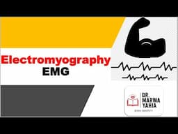 EMG Basic level (part 1)