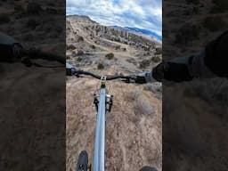 Your View vs My View #mtb #freeride