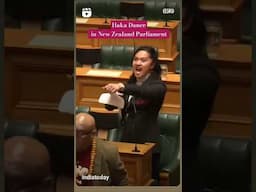 Haka Dance - New Zealand MP #hakadance #newzealand #parliament #viralshorts #shorts