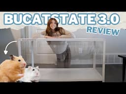 Bucatstate 3.0 Hamster Cage Review | My Honest Thoughts!