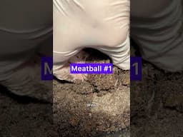 How I harvest my meatballs