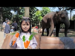 KASIH MAKAN HEWAN-HEWAN DI BANDUNG ZOO | Revina Family