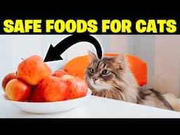 10 Human Foods That Will Improve Your Cat's Health