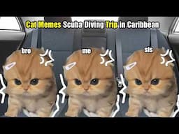 Cat Memes Scuba Diving Trip in Caribbean