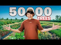 I planted 50,000 trees in 8 hours