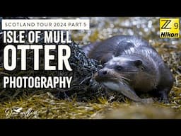 Scotland Tour 2024 - Isle of Mull, Otter Photography