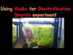 carbon dosing, no waterchange experiment. Did it work?