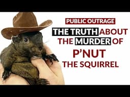 PUBLIC OUTRAGE! The TRUTH about the murder of P'Nut The Squirrel