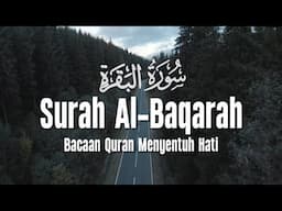 Surah Al Baqarah سورة البقرة Dengan Suara Indah Membuat Hati Tenang | Tareq Mohammad