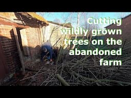 Cutting wildly grown trees in the courtyard of an abandoned farm [ monotonous WORK ]