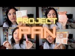 Project Pan | update 7! #projectpan