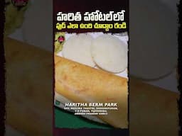 హరిత హోటల్లో ఫుడ్ ఎలా ఉంది చూద్దాం రండి |#harithabermpark  #aphotelbermpark  #vijayawada #hotels