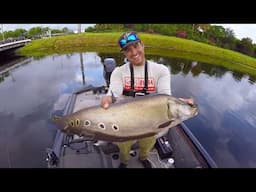 SAVAGE FISH Finally Caught! Spotted CLOWN KNIFE FISH Invades South Florida!!!