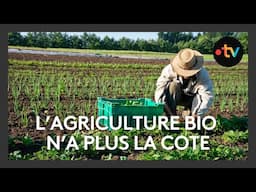 L'agriculture bio en perte de vitesse