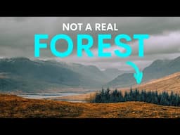 These Forests Aren't Actually Forests - here's why