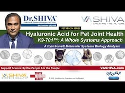 Dr.SHIVA™: Hyaluronic Acid for Holistic Pet Health in K9-701™(12/23)