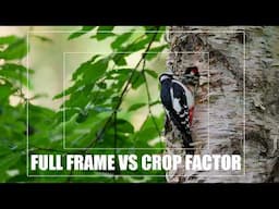 Crop Factor Vs Full Frame - Is Full-Frame Really Better?