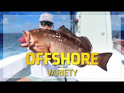 Saltwater Fishing for Beginners