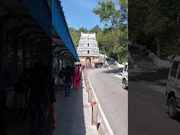 Tirumala Tirupati Alipiri Footpath Way 👣 #trendingshorts #tirupati #tirumala #shorts