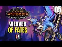 THE WEAVER OF FATES - Kairos Fateweaver Tzeentch - Thrones of Decay -  Total War: Warhammer 3 #05