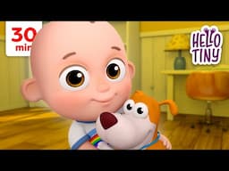 Bingo Was His Name 🐶 | Kids Songs and Nursery Rhymes | Hello Tiny