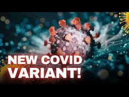 Doctors Warn New Covid XEC Variant is More Contagious Than Ever