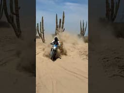 Baja CA Silt Beds -VS- Moto