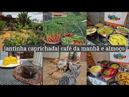 Fazendo colheita para preparar o jantar | rotina da manhã com cafezinho e almoço do dia