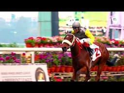 Madras Race Club Million 2024 Winner | Blackstone