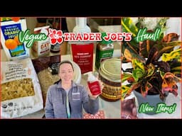 Trader Joe's Haul! | Vegan & Prices Shown! | November 2023