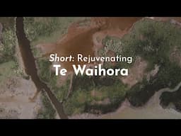 Te Waihora Restoration short