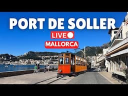 🔴 Live in Port de Soller, Mallorca (Majorca) | 17 November 2024