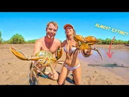 Exploring for GIANT MUDCRABS and Rare Species in Remote Australia