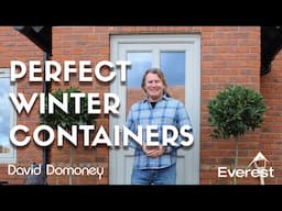 How winter plant containers can transform your home