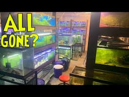 NO MORE FISH TANKS In My Garage Fish Room! (everything explained)