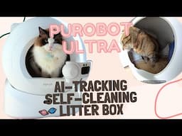 🐾 NEWEST self-cleaning litter box! PETKIT PUROBOT ULTRA Review