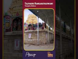 Sri Talpagiri Ranganathaswamy Temple | Shorts #mmtravelguide