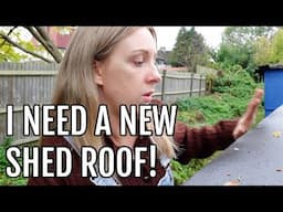 THE SHED ROOF IS FALLING DOWN! / ALLOTMENT GARDENING UK