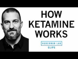 How Ketamine Works & Its Potential for Depression Relief | Dr. Andrew Huberman